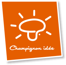 www.champignonidee.fr